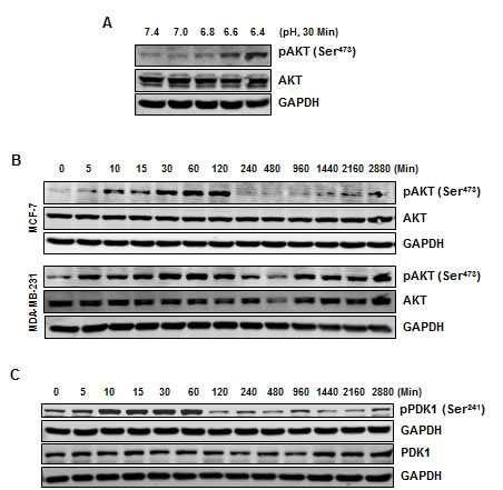 fig3