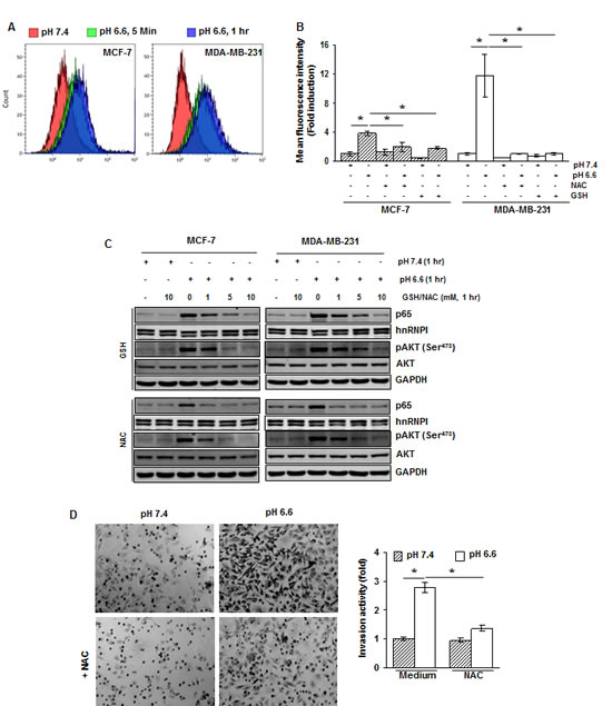 fig4