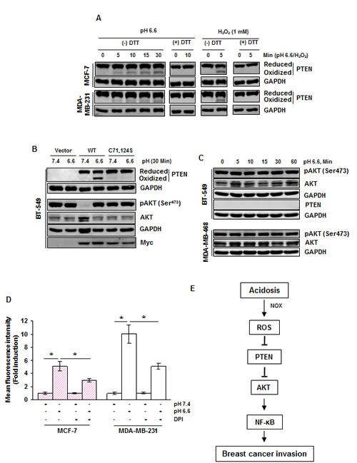 fig6