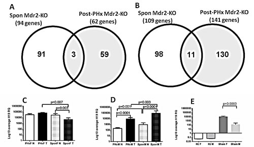 fig4