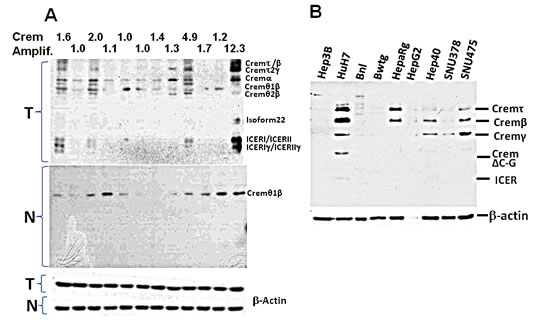 fig6