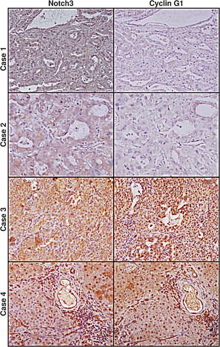 fig5