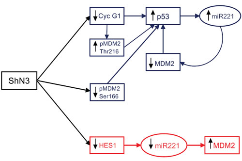 fig8