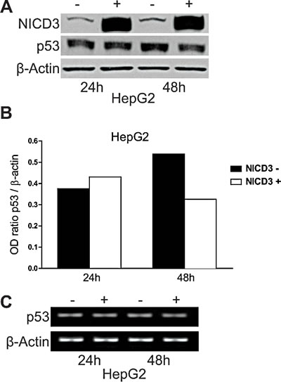fig1