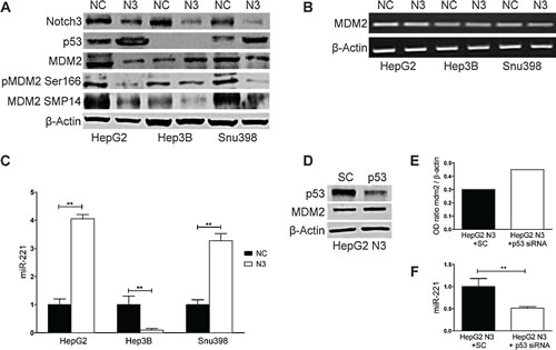 fig2