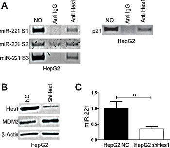fig3