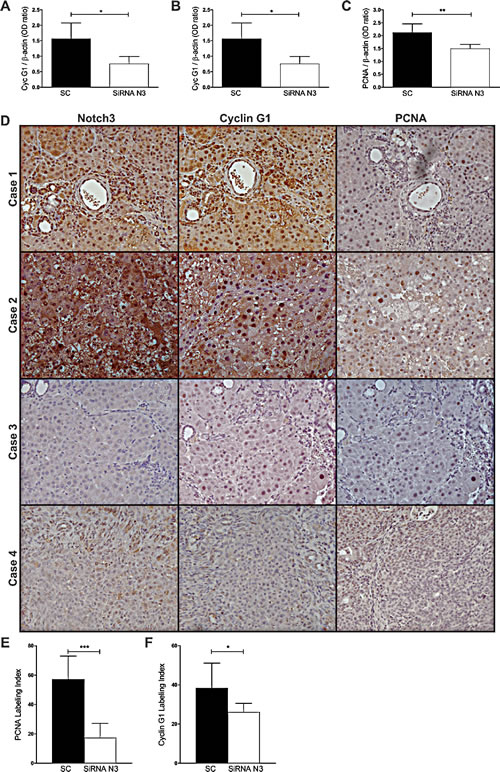 fig6