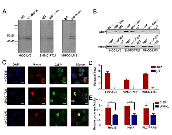 fig3