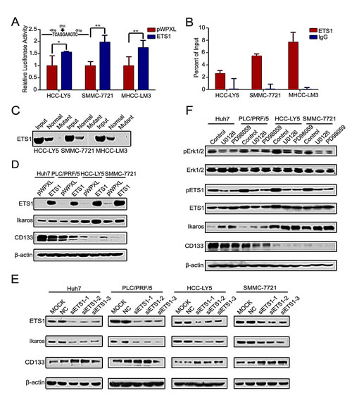 fig4
