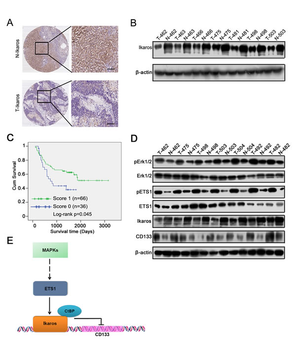 FIG6