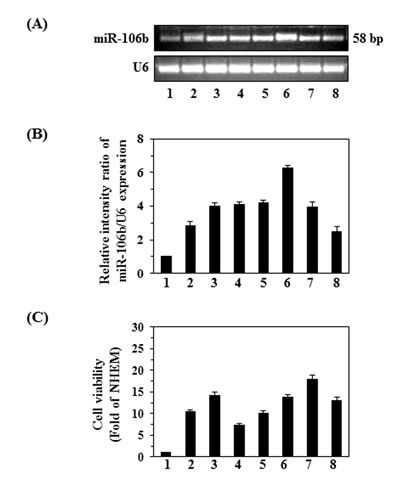 fig1
