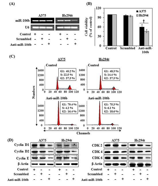 fig2
