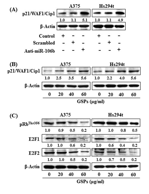 fig5