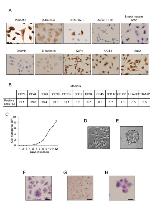 fig1