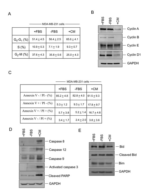 fig4