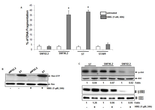fig1