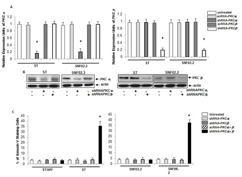 fig2