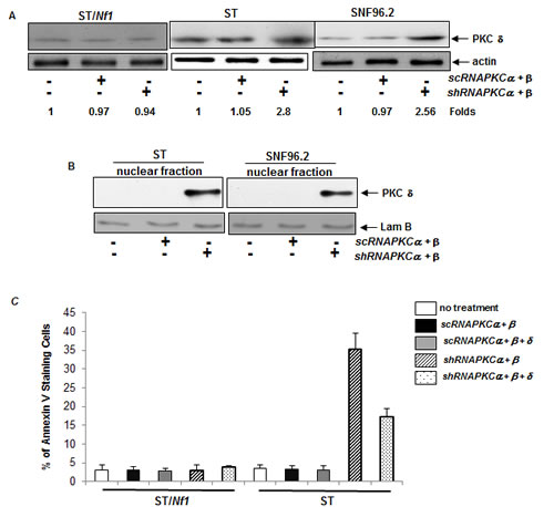 fig3