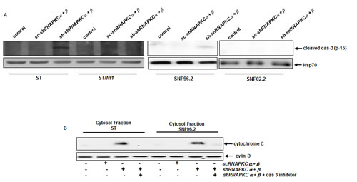 fig4