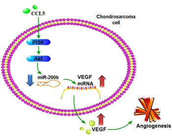 fig8