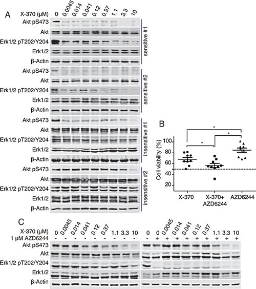fig6