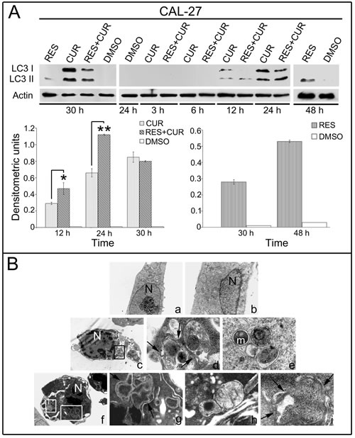 fig4