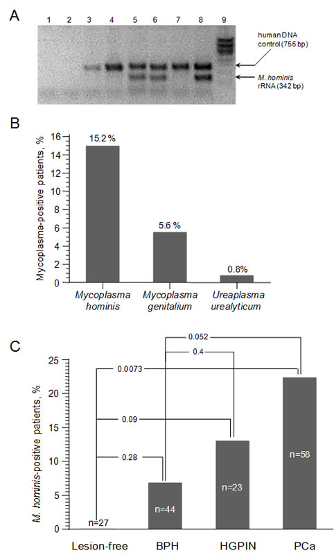 Barykova_Oncotarget.pdf