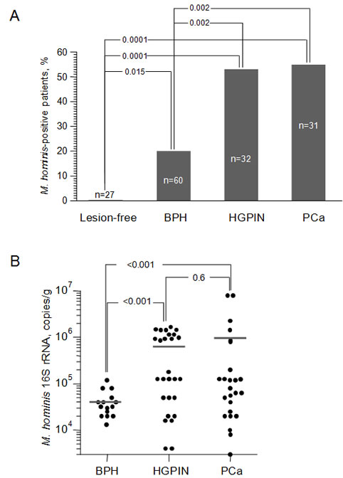 Barykova_Oncotarget.pdf