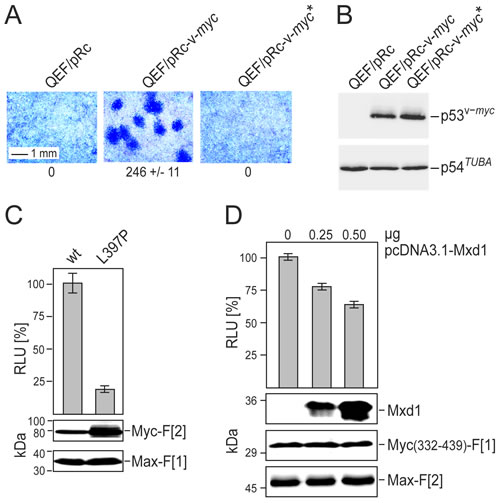 fig2
