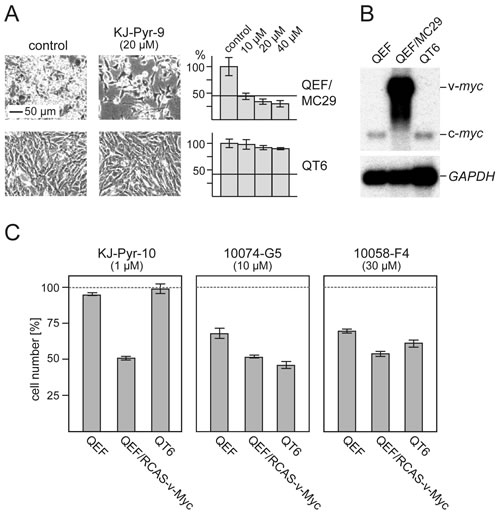 fig4