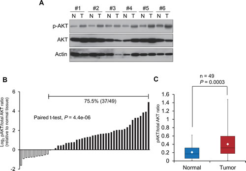 fig1