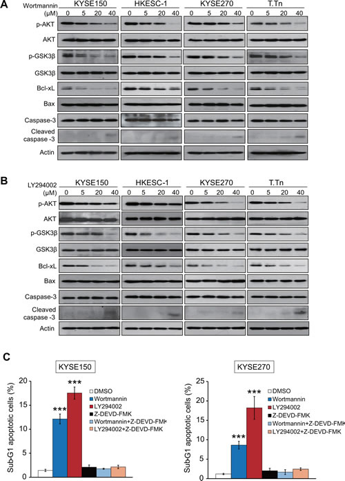 fig2