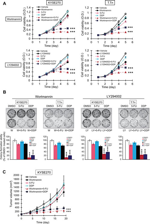 fig6
