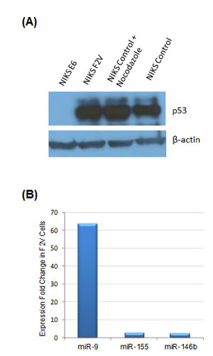 fig3
