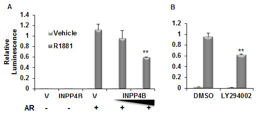 Figures.pdf