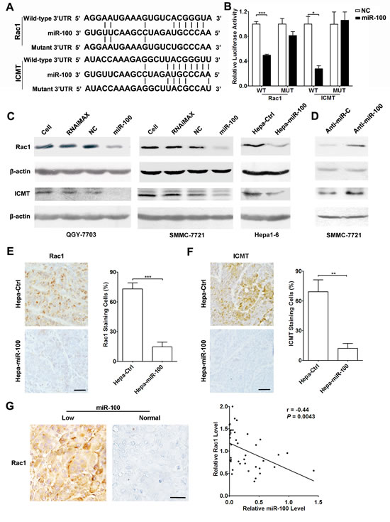 FIG2