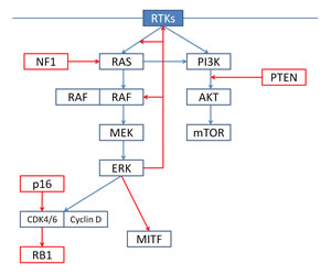 fig1