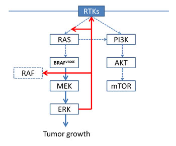 fig2