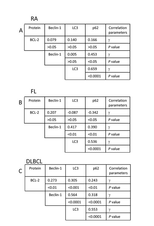 FIG5
