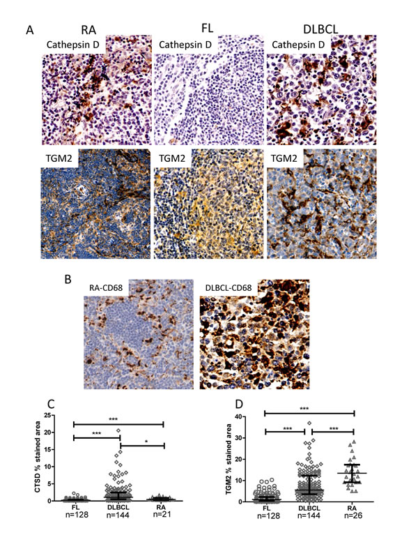 FIG6
