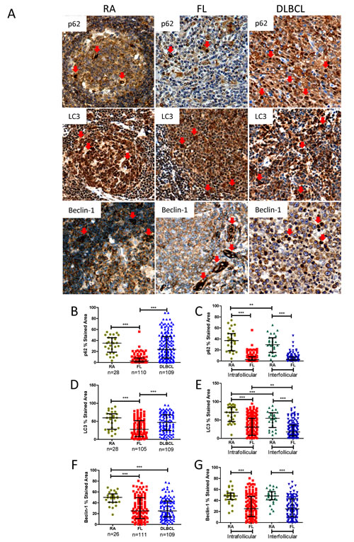 fig4