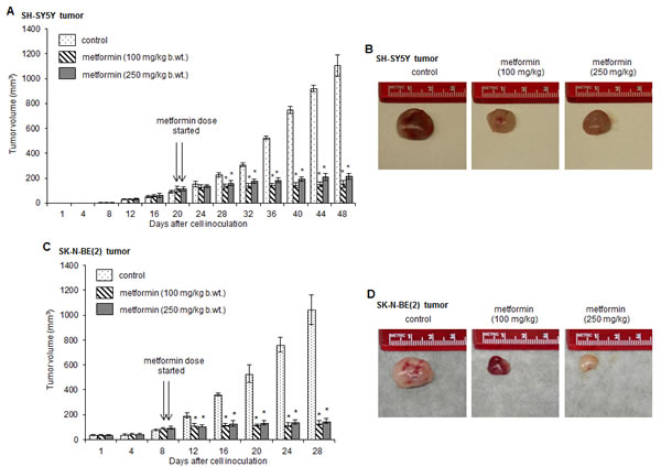fig1