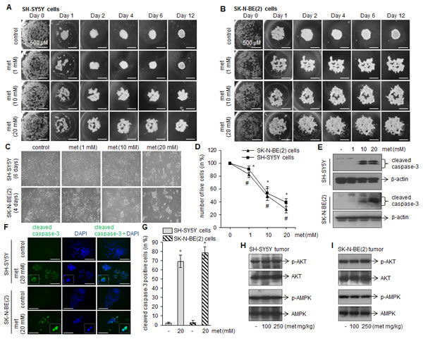 fig3