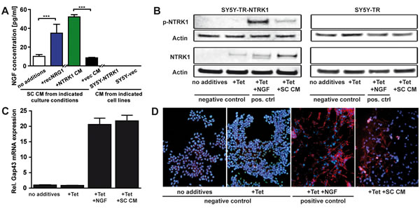 fig3