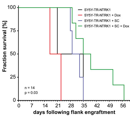fig4