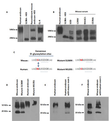 fig2a