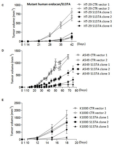 fig3b