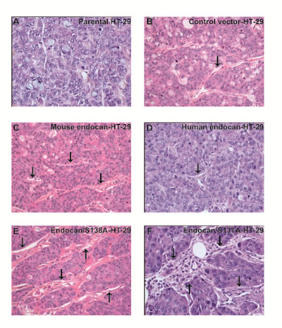 fig6