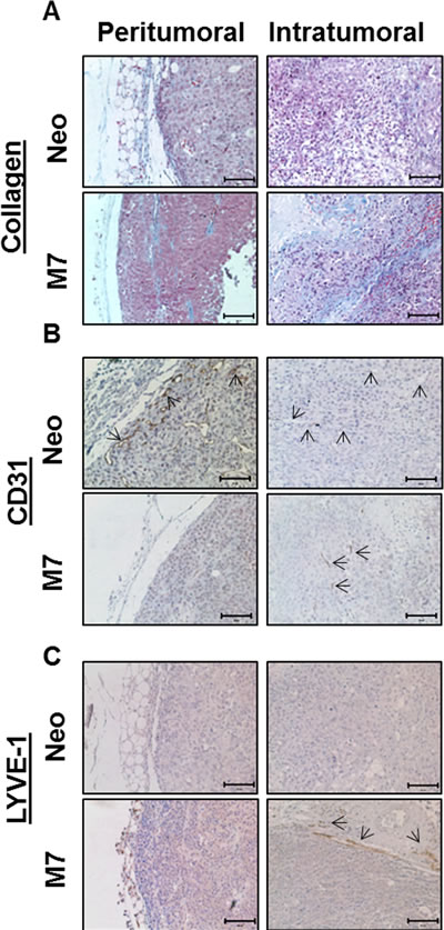 fig2