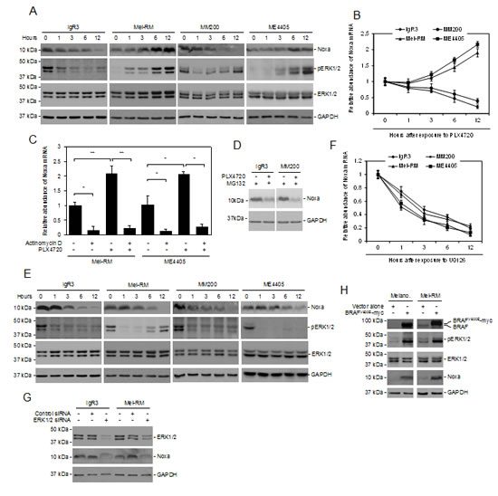 fig2